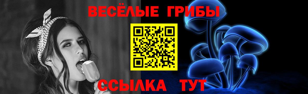 Севастополь  Псилоцибиновые грибы Cubensis  Вход с VPN 